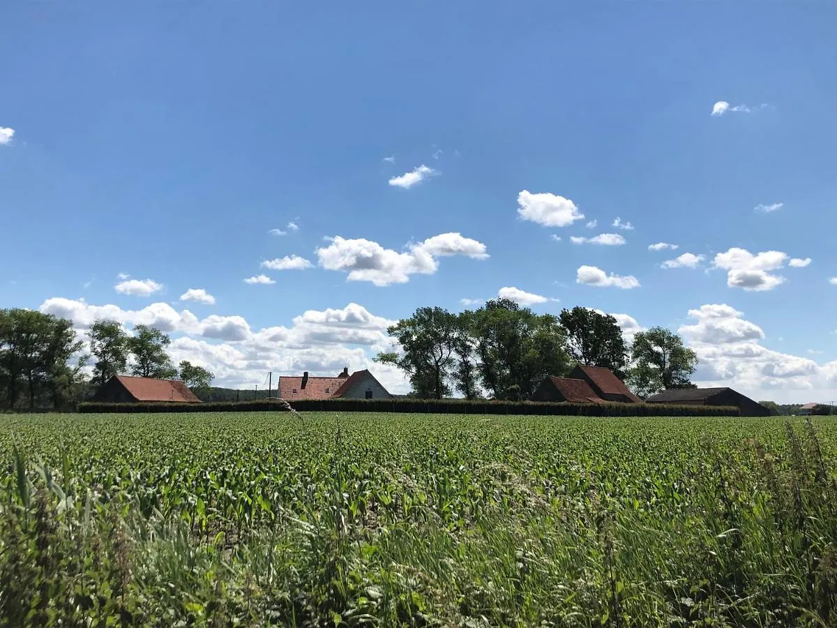 Bbrut Panzió Brugge